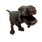 Decorative Bookends Set of 2 Cast Iron Animal Shelf Decor Brown Rustic
